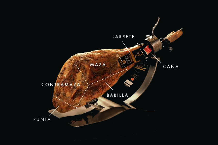 Infografía partes del jamón